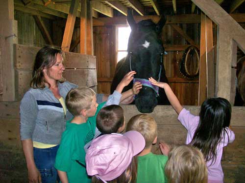 Barn tour - petting the horse